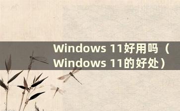 Windows 11好用吗（Windows 11的好处）